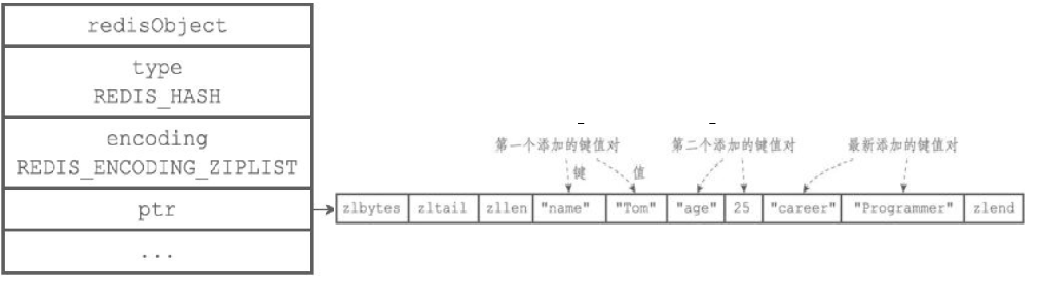 ziplist编码