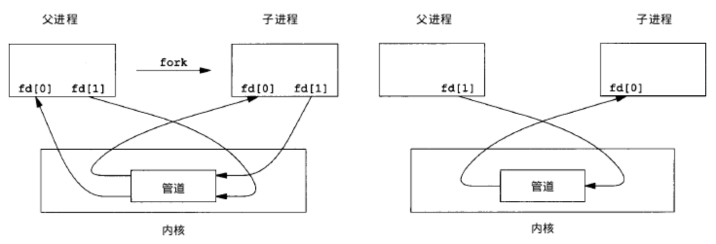 父进程到子进程的管道